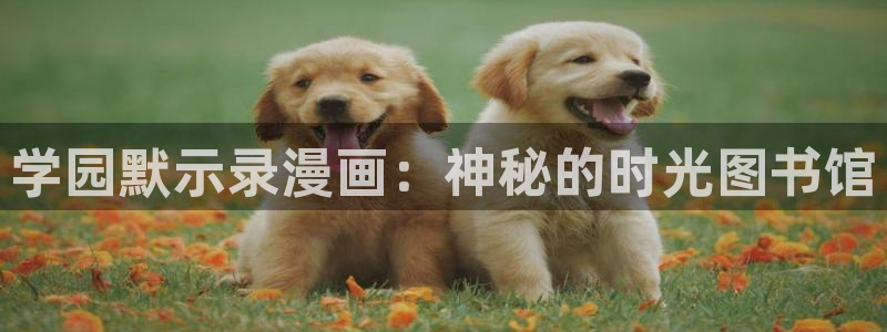 www.汗汗漫画.com：学园默示录漫画：神秘的时光图书馆