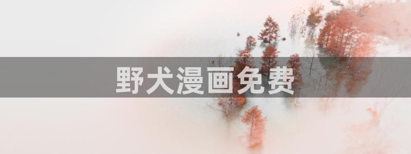 汗汗漫画登陆：野犬漫画免费