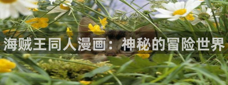 歪歪汗汗漫画ssss在线看：海贼王同人漫画：神秘的冒险世界