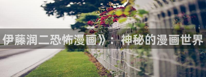 嘿咻漫画～汗汗漫画入口：伊藤润二恐怖漫画》：神秘的漫画世界