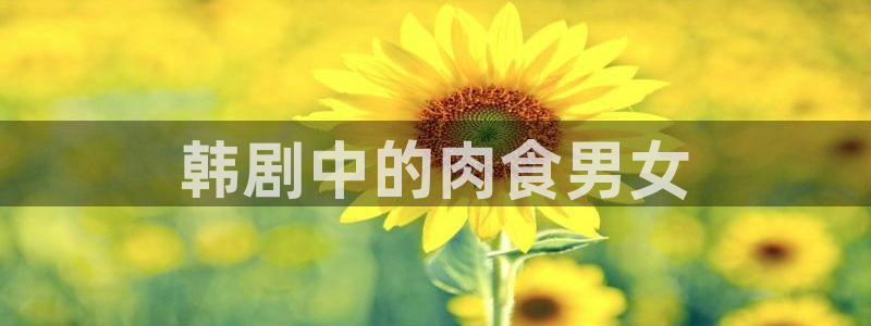 汗汗漫画免费无遮掩免费