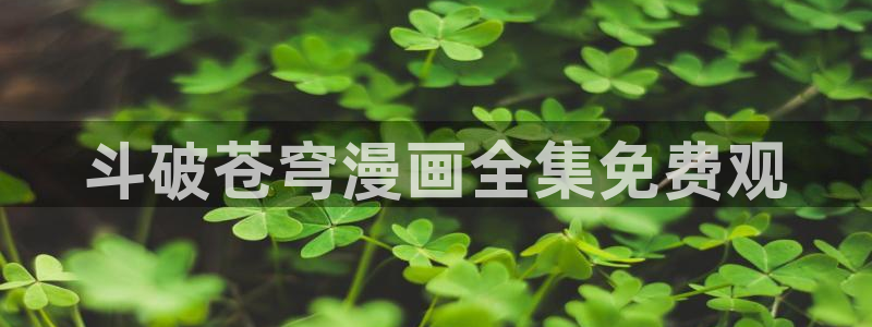汗汗漫画在线观看入口nba