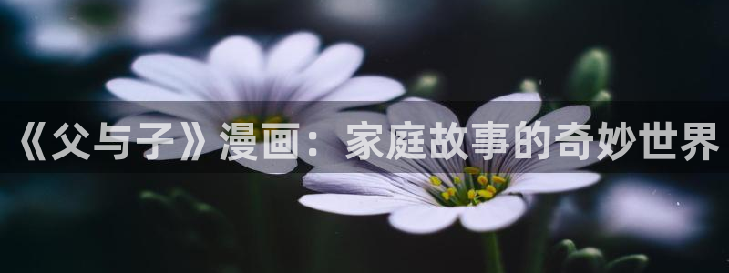 汗汗漫画大全免费