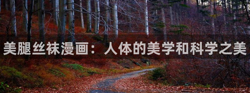 汗汗漫画官网 漫画